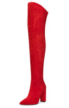 CASTAMERE Womens High Heels Over The Knee Boots Sexy Pointy Toe Chunky Block 10CM Heel Boot with Zipper