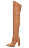 CASTAMERE Womens High Heels Over The Knee Boots Sexy Pointy Toe Chunky Block 10CM Heel Boot with Zipper